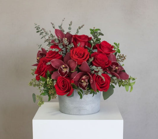 Bold Passion- Designer's Choice