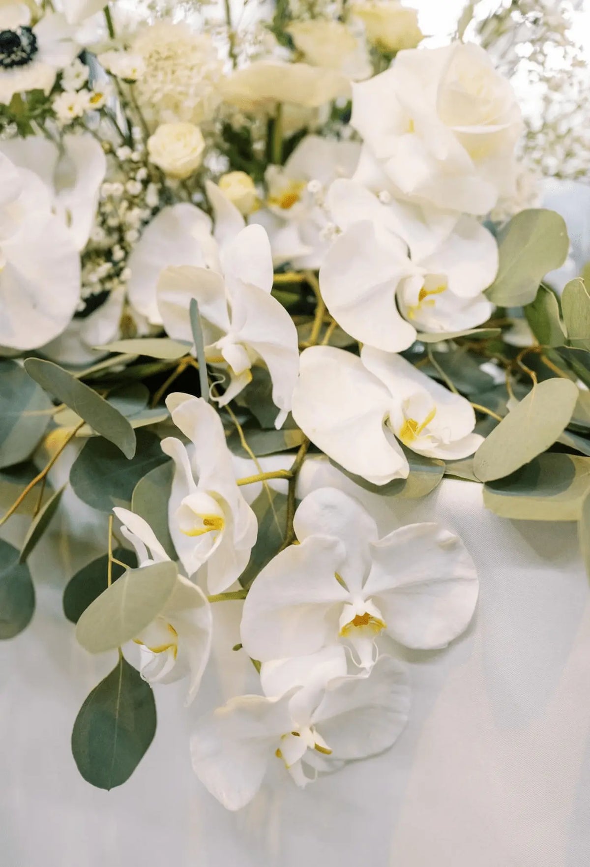 White orchid and eucalyptus wedding floral arrangement with soft greenery accents