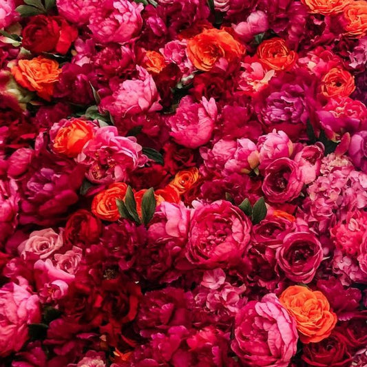 Bold Passion- Designer's Choice