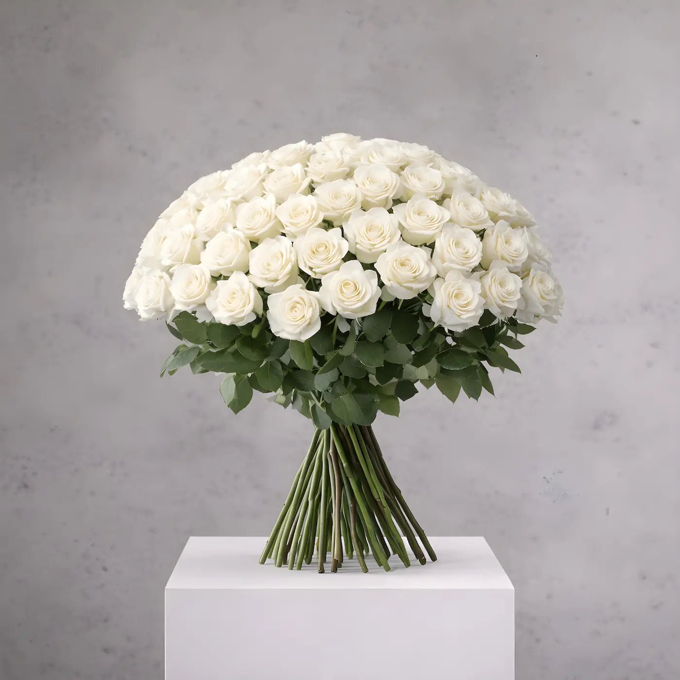 Bouquet of white roses on a gray background