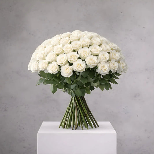 Bouquet of white roses on a gray background