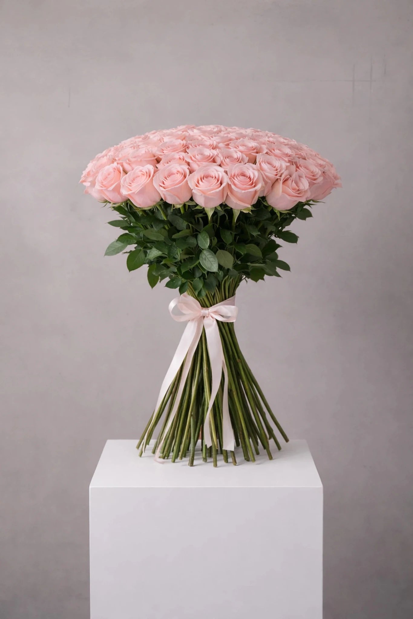 Bouquet of pink roses tied with a white ribbon on a gray background