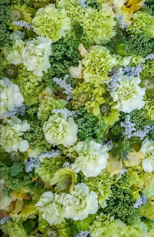 Close-up of green and yellow flowers with a soft focus