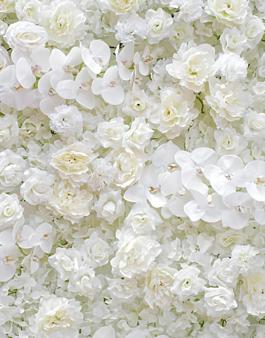 Close-up of a wall of white flowers